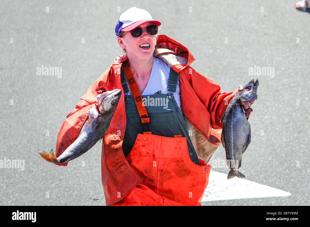 Pressing Cod Fish June 26, 2024, Boothbay Harbor, Me, United States: A woman dressed in ...