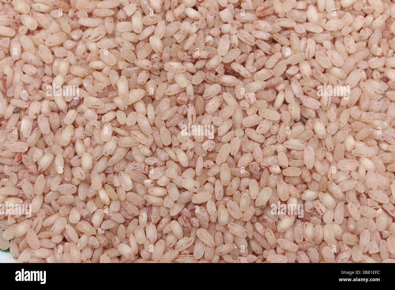 Captures a top-down view featuring countless individual light pink rice ...