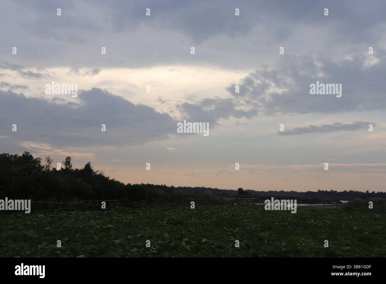 A serene landscape scene captures a tranquil, rural field where vibrant foliage meets a dramatic sky, emphasizing natural beauty and quietude in natur Stock Photo