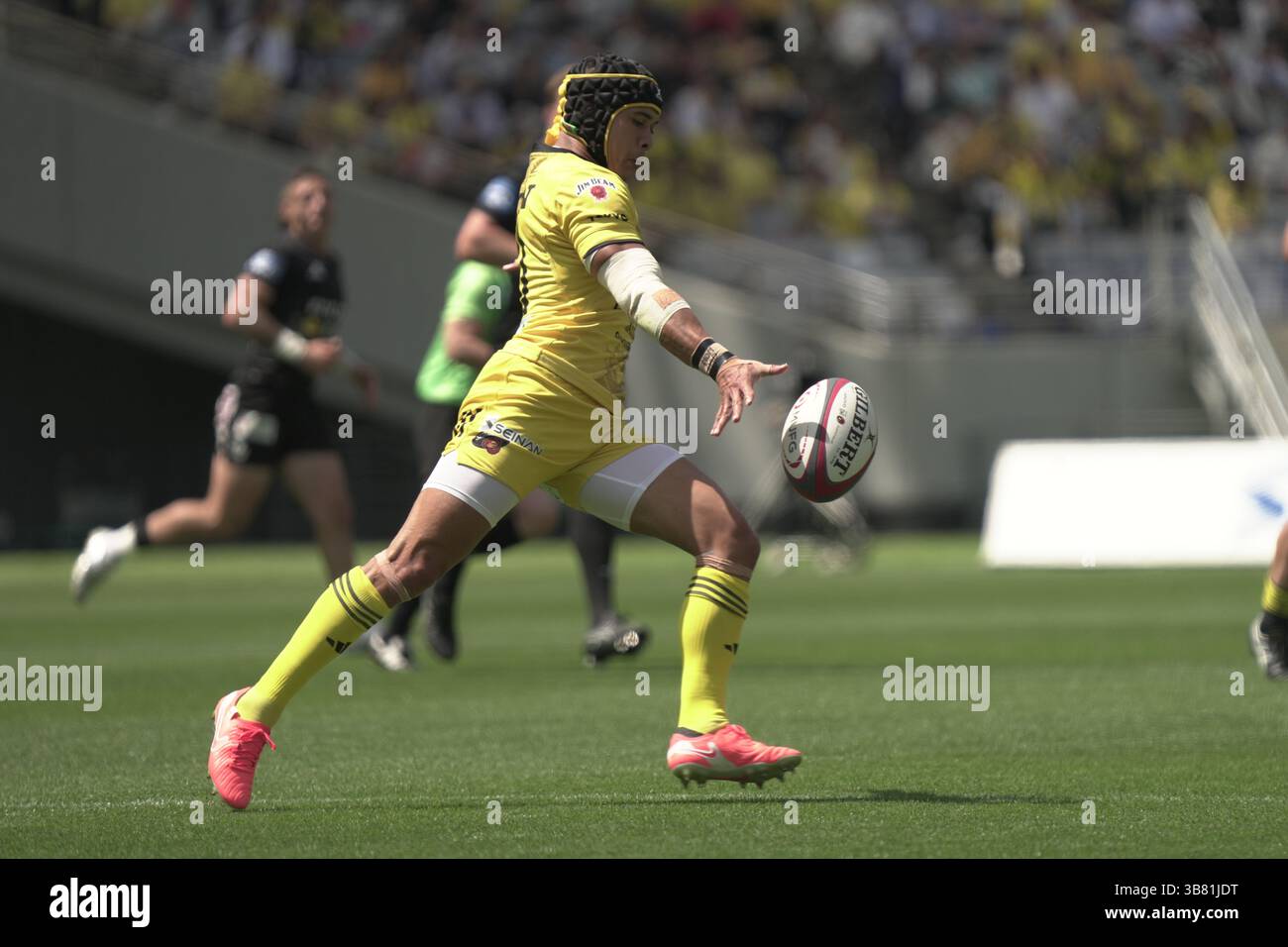 The "Life-Stage" Factor in Professional Rugby