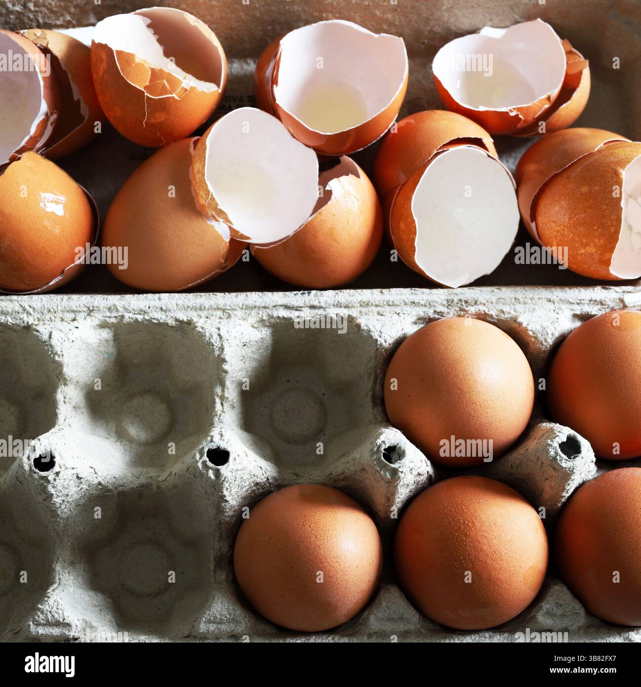 Broken eggshells and whole eggs in a cardboard egg container. Directly above. Stock Photo