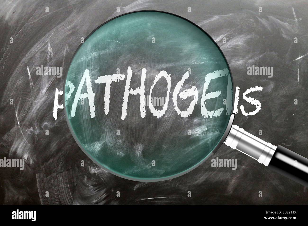 Pathogens - learn, study and inspect it. Taking a closer look at ...