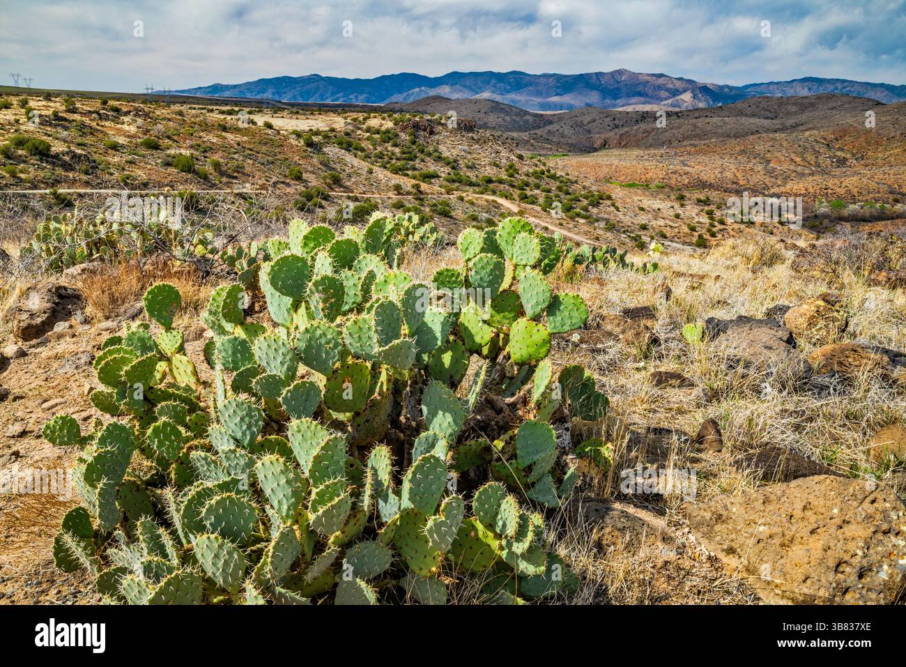 Far. Distance View Desert mesa distant mountains hi-res stock photography and images - Alamy