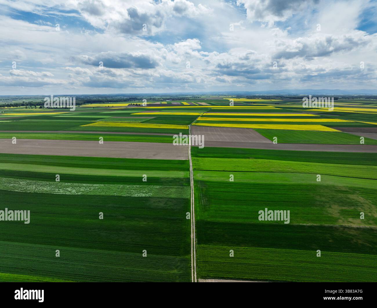Aerial drone view beautiful fields of yellow rapeseed.Village country ...