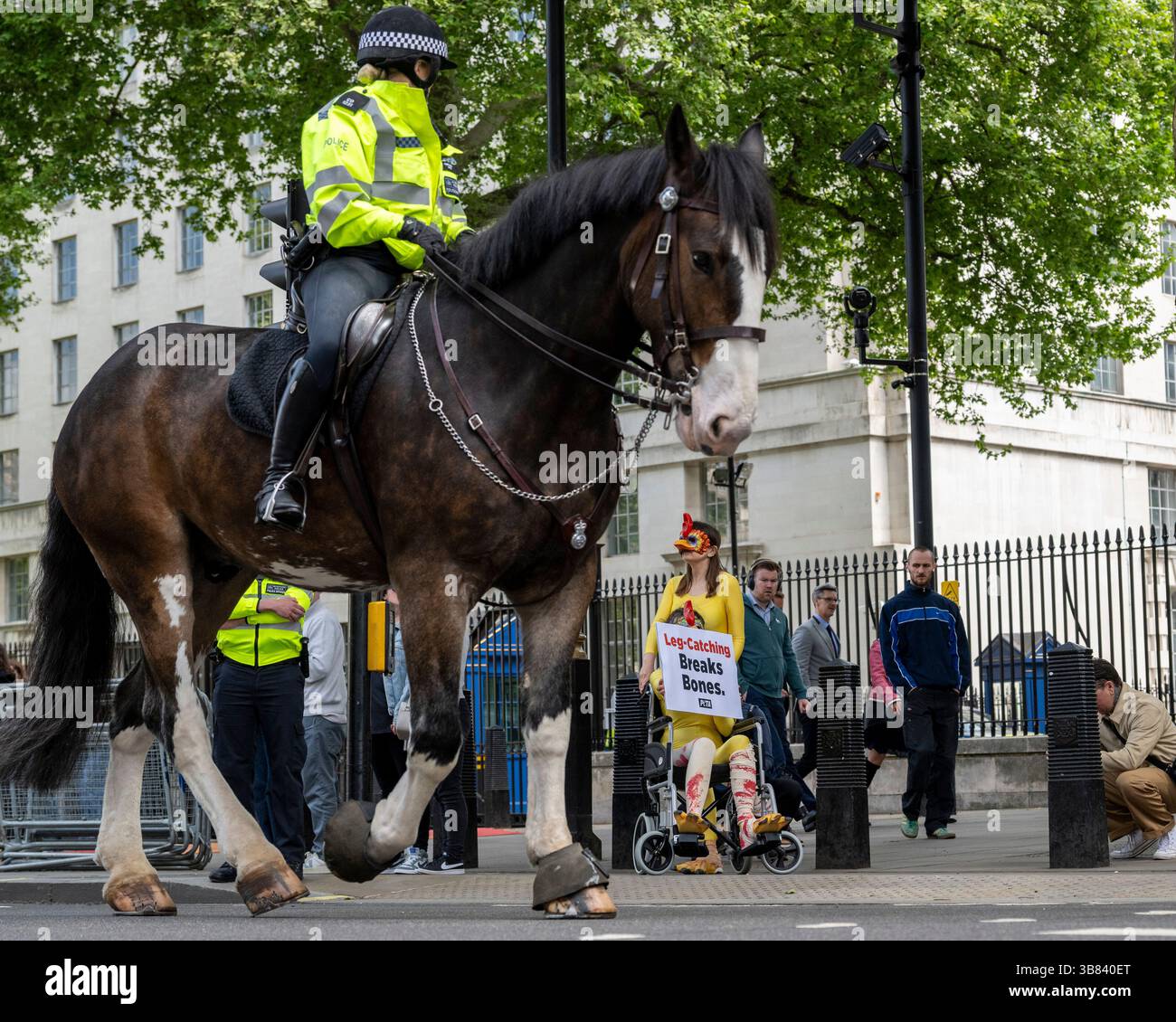 London, UK. 7 May 2025. A mounted police officer passes by as members ...