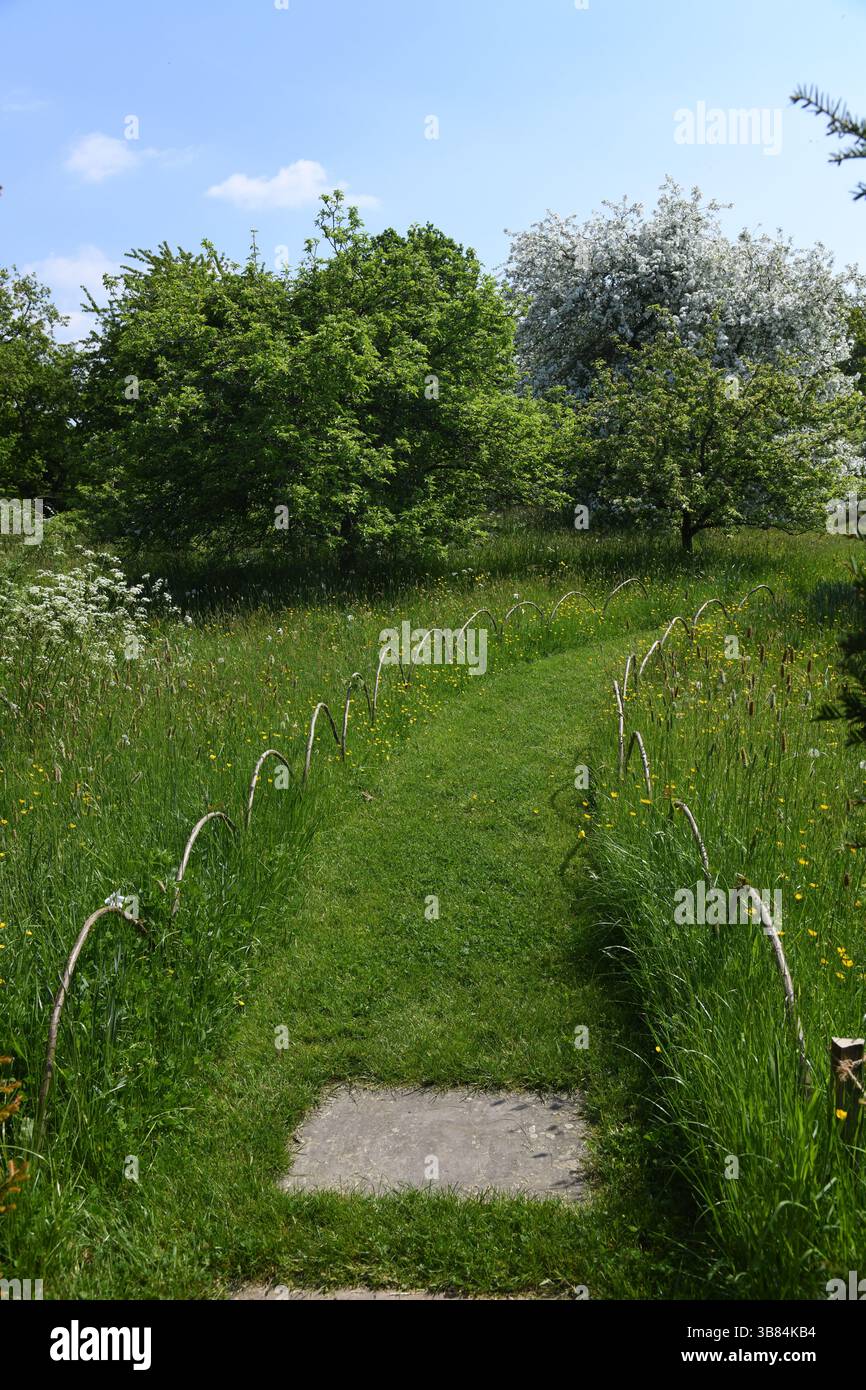 Grassy walkway Stock Photo