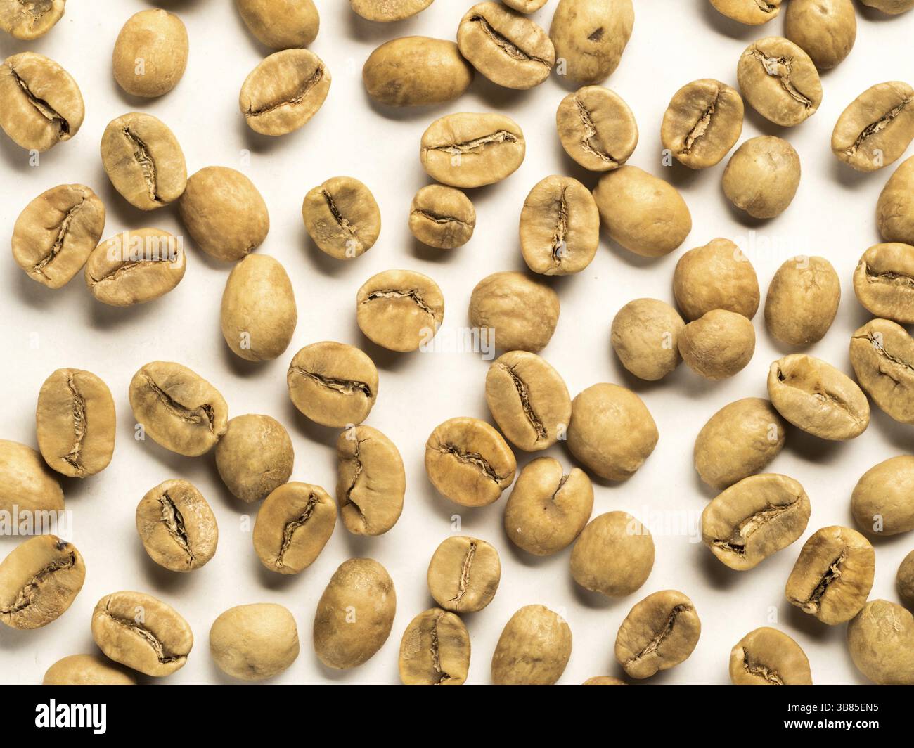 Picture of Best White Coffee [Updated: March 2026]