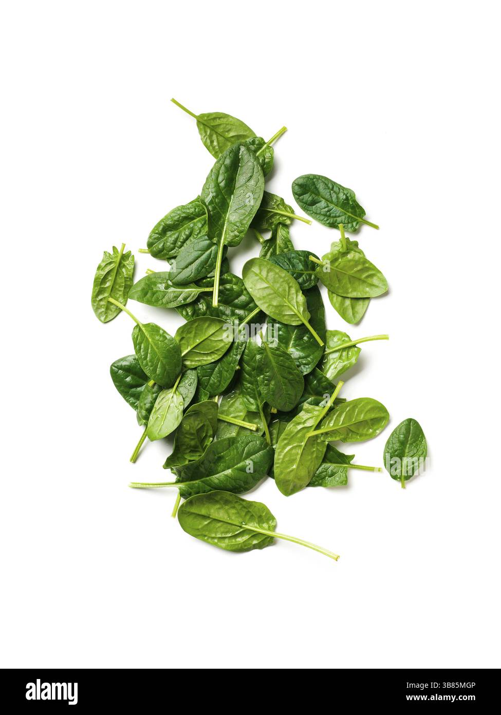 Heap of baby spinach leaves. Fresh green baby spinach isolated on white ...