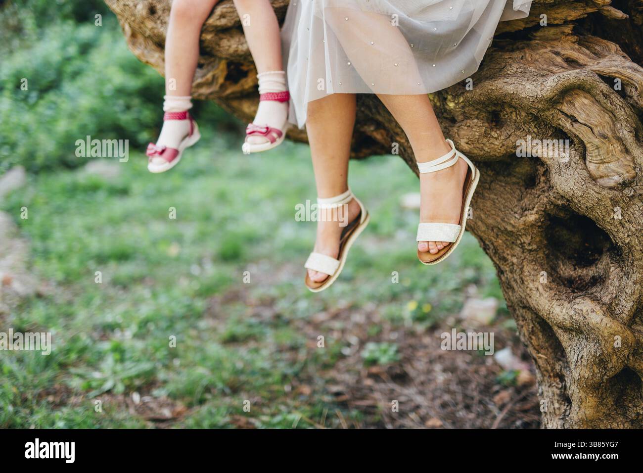 Feet of mother and child. My daughter and mother are sitting on a tree in the forest Stock Photo