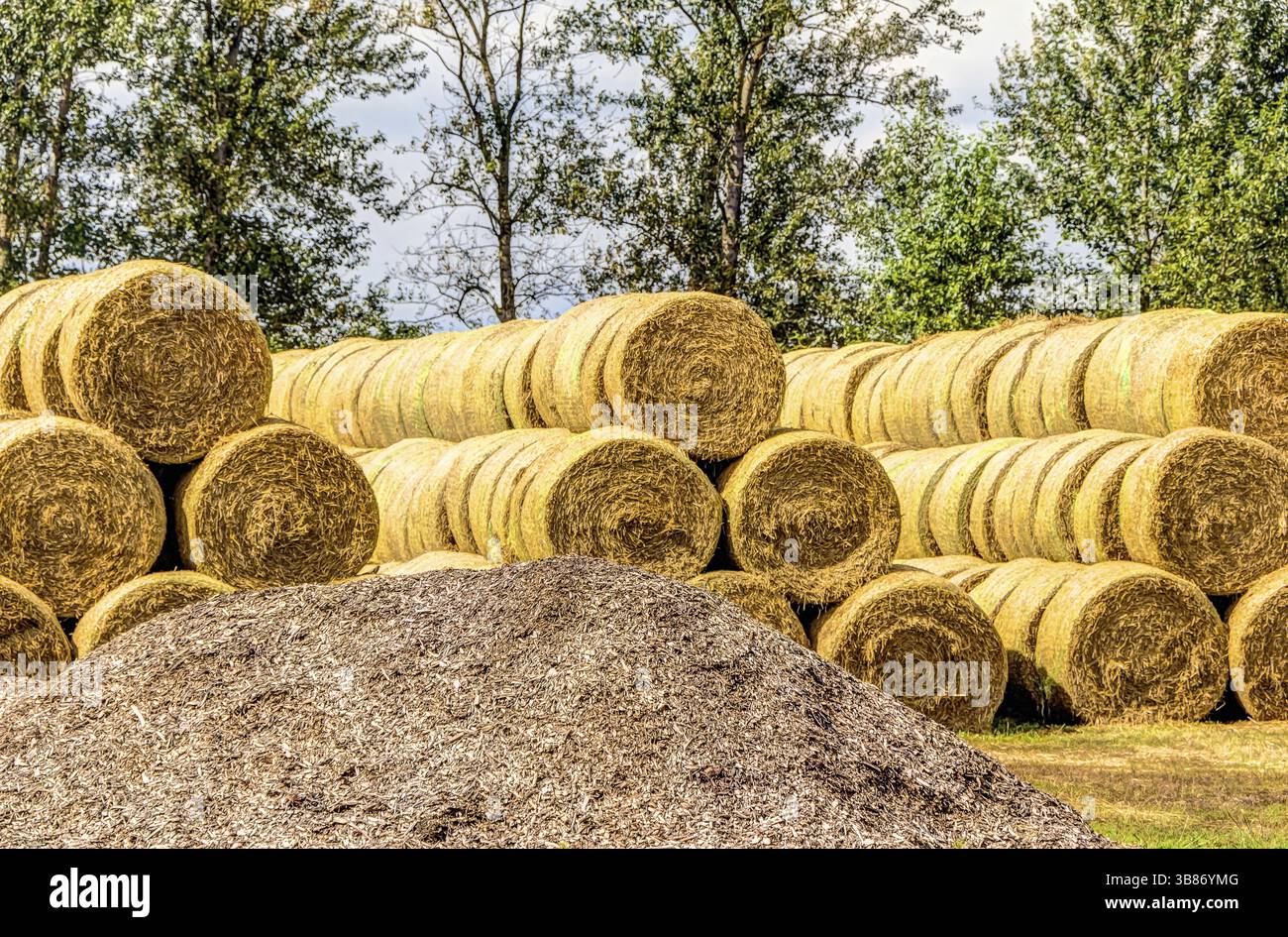 Stacked straw bales in agriculture in Summer on a farm Stock Photo - Alamy