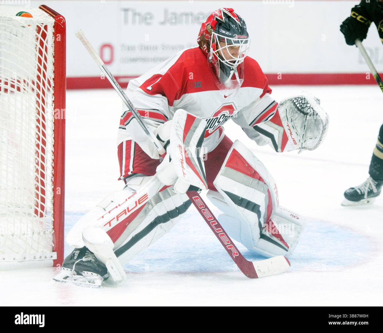 October 13, 2023: Ohio State Buckeyes defenseman Theo Wallberg (44