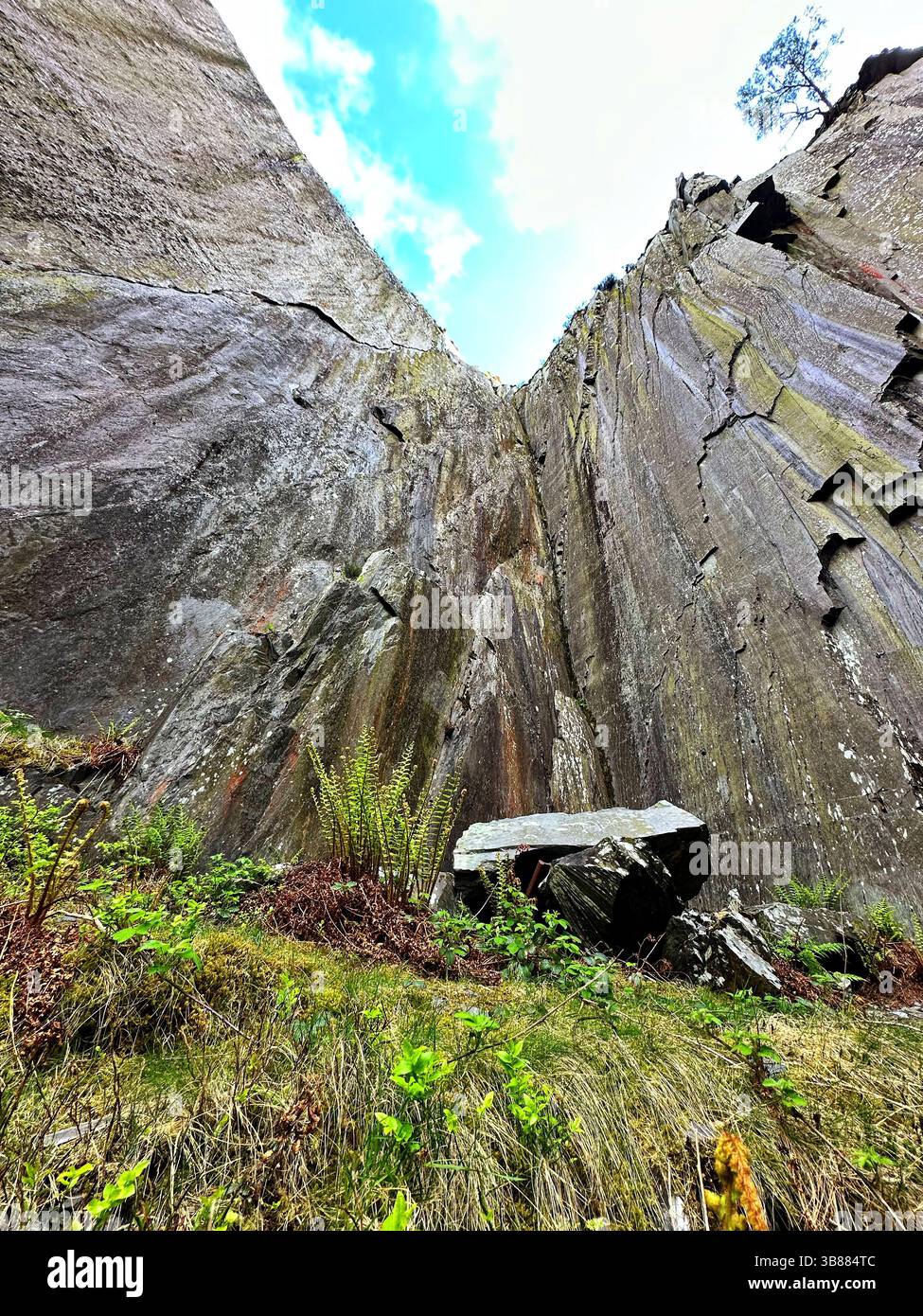 Slate cliff face at Dinorwic Quarry in Llanberis, Snowdonia, Wales, viewed from below on a sunny day. Moss, ferns, and grass grow at the base. - Smartphone Captured Stock Image