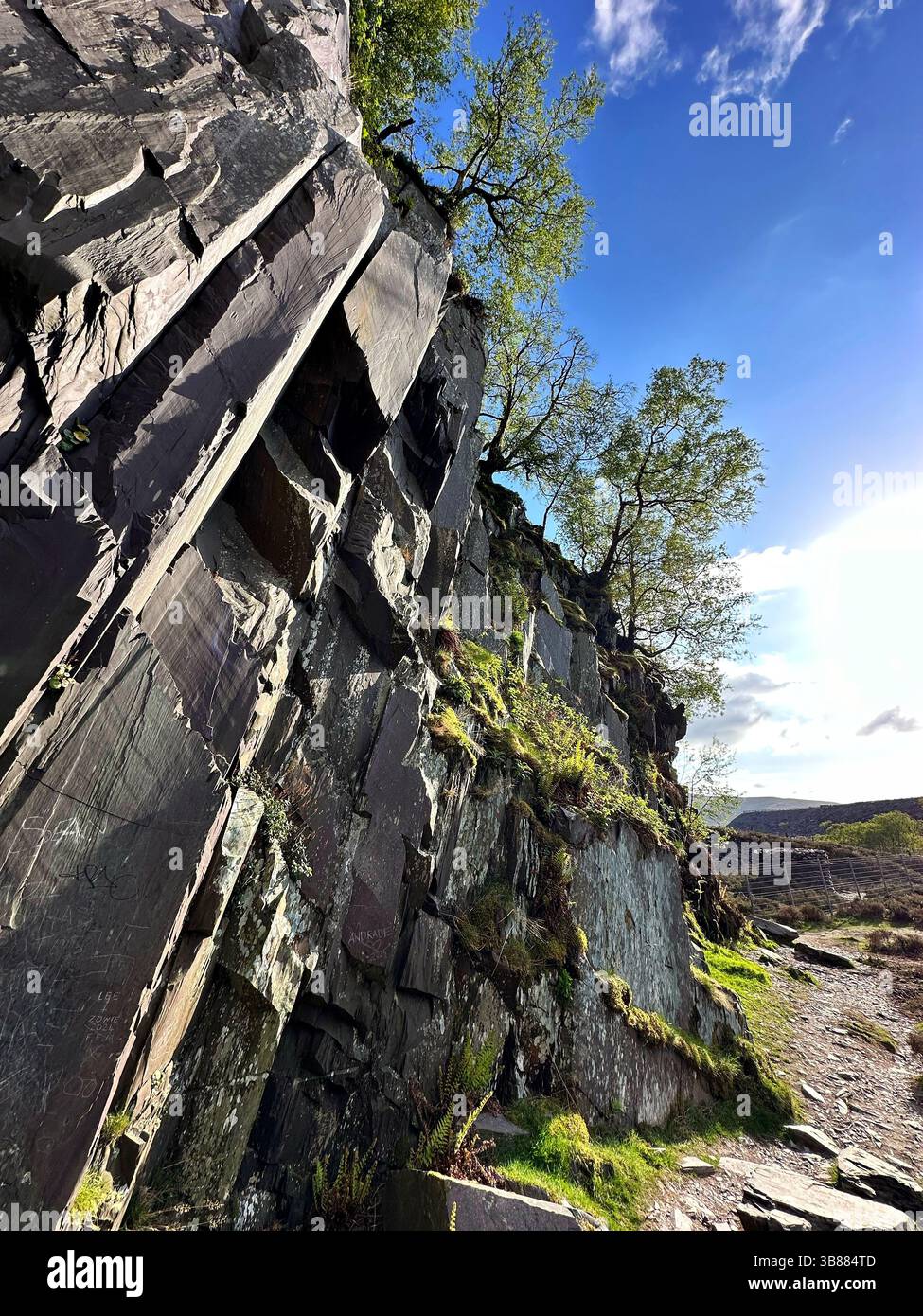 Slate cliff face at Dinorwic Quarry in Llanberis, Snowdonia, Wales, viewed from below on a sunny day. Moss, ferns and grass grow at the base. - Smartphone Captured Stock Image