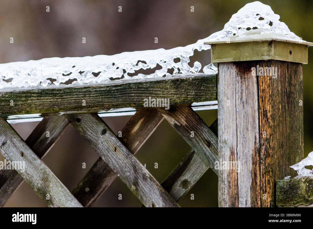 Lattice fence with crusted frozen ice coating the top Stock Photo - Alamy