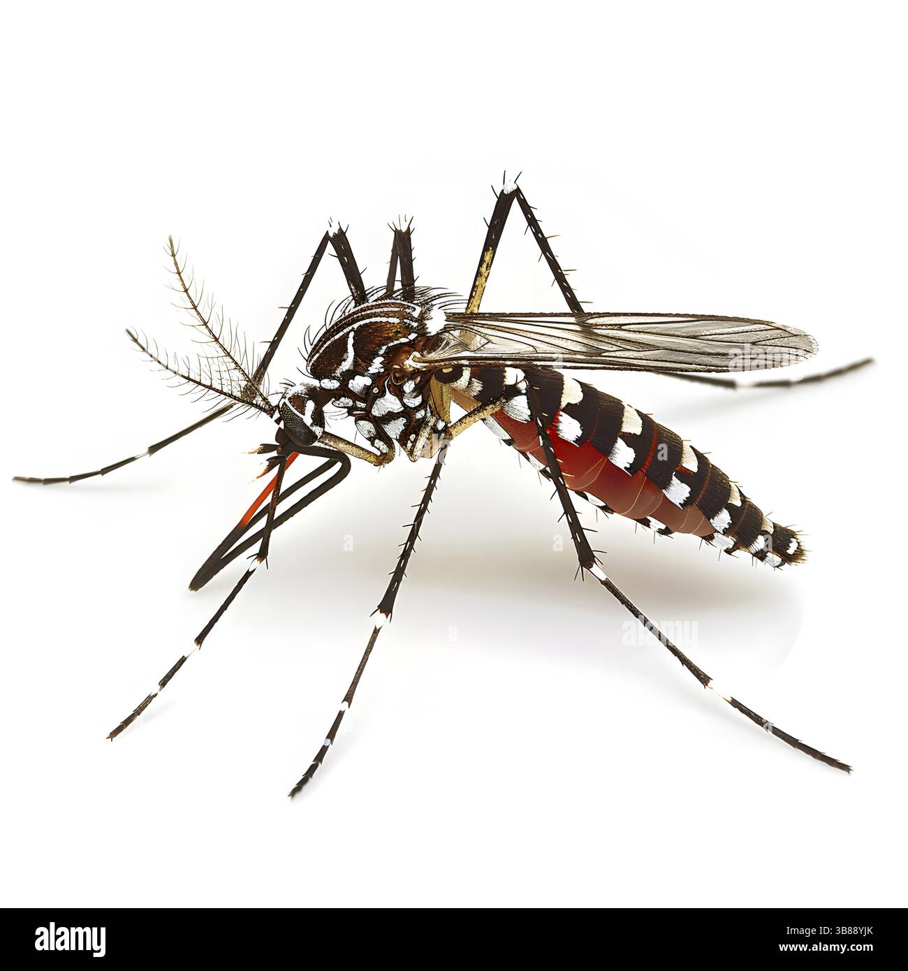 All behaviours Cut Out Stock Images & Pictures - Alamy