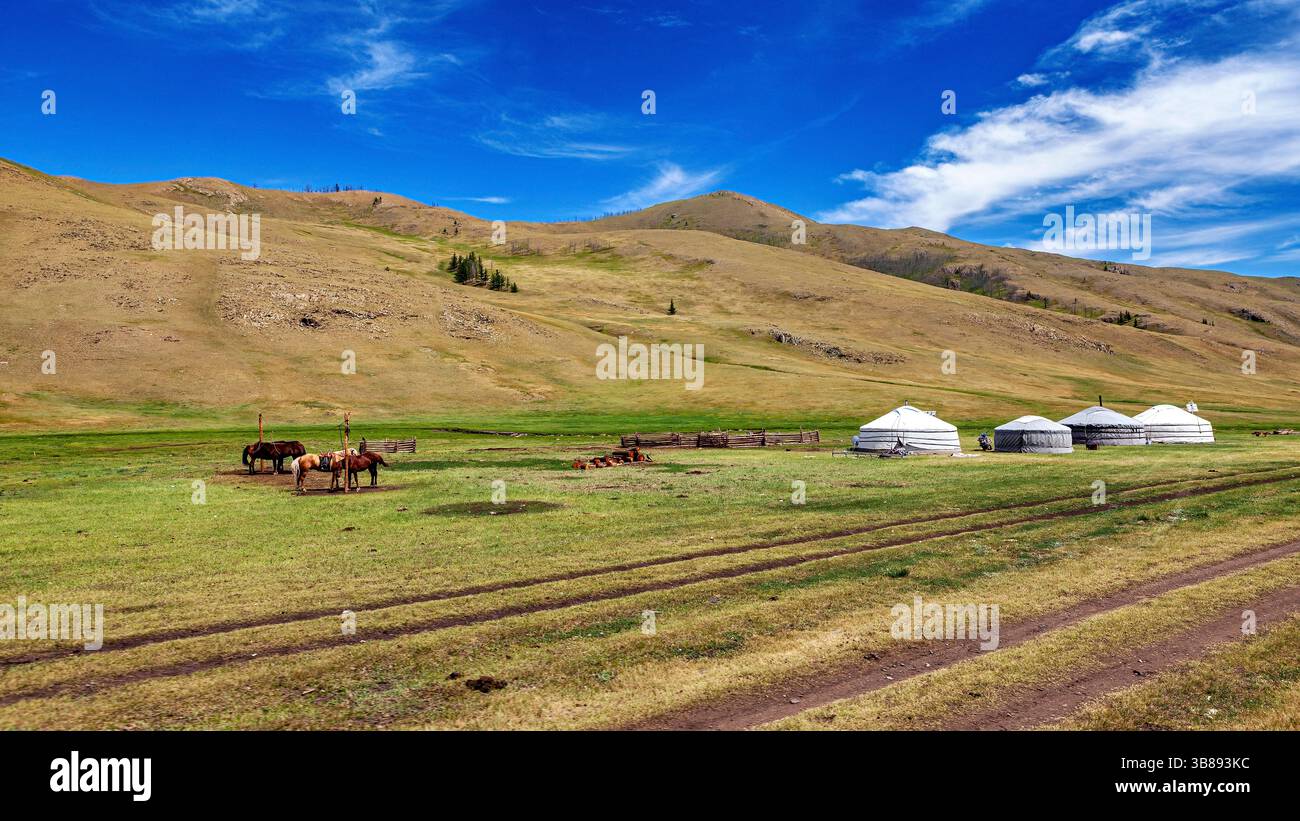 Mongolian Yurt and Camp of nomadic people Stock Photo - Alamy