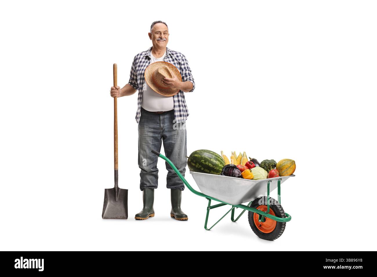 Farmer with a shovel and fruits and vegetables in a wheelbarrow ...
