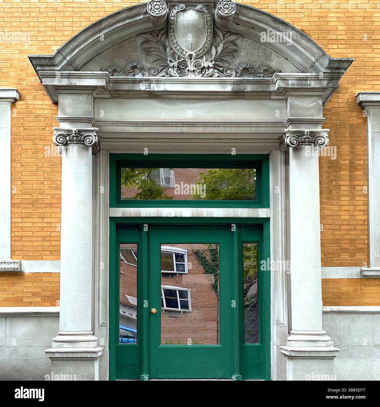 Elegant neoclassical entrance with a green door framed by Corinthian columns and an arched pediment, with carved floral and shield motifs in Chicago - Smartphone Captured Stock Image