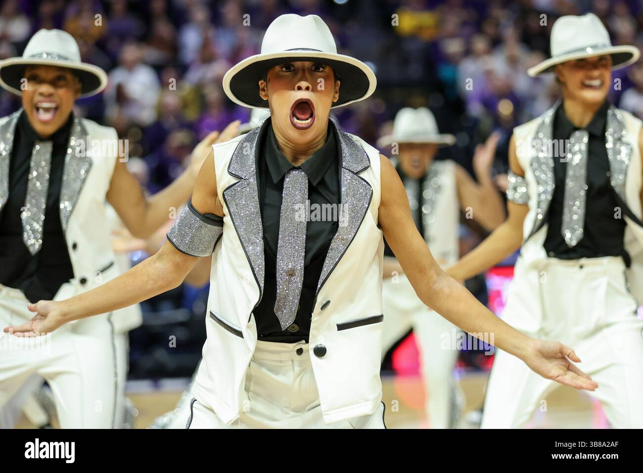 Lsu tiger girls dance team hi-res stock photography and images - Alamy