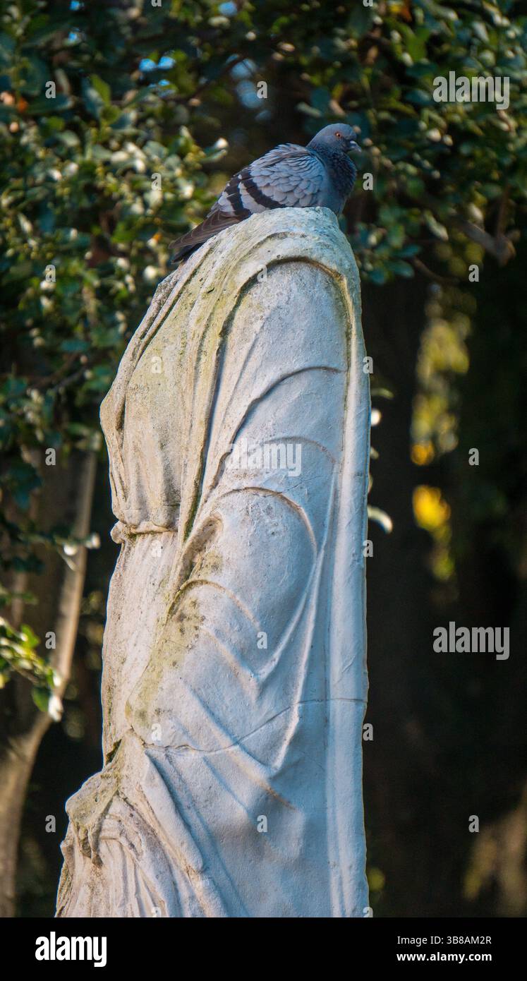 Statue Rome Side View Side view of marble woman statue with pigeon instead of head in Rome ...