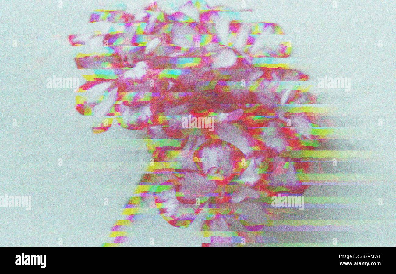 Distorted palette hi-res stock photography and images - Alamy