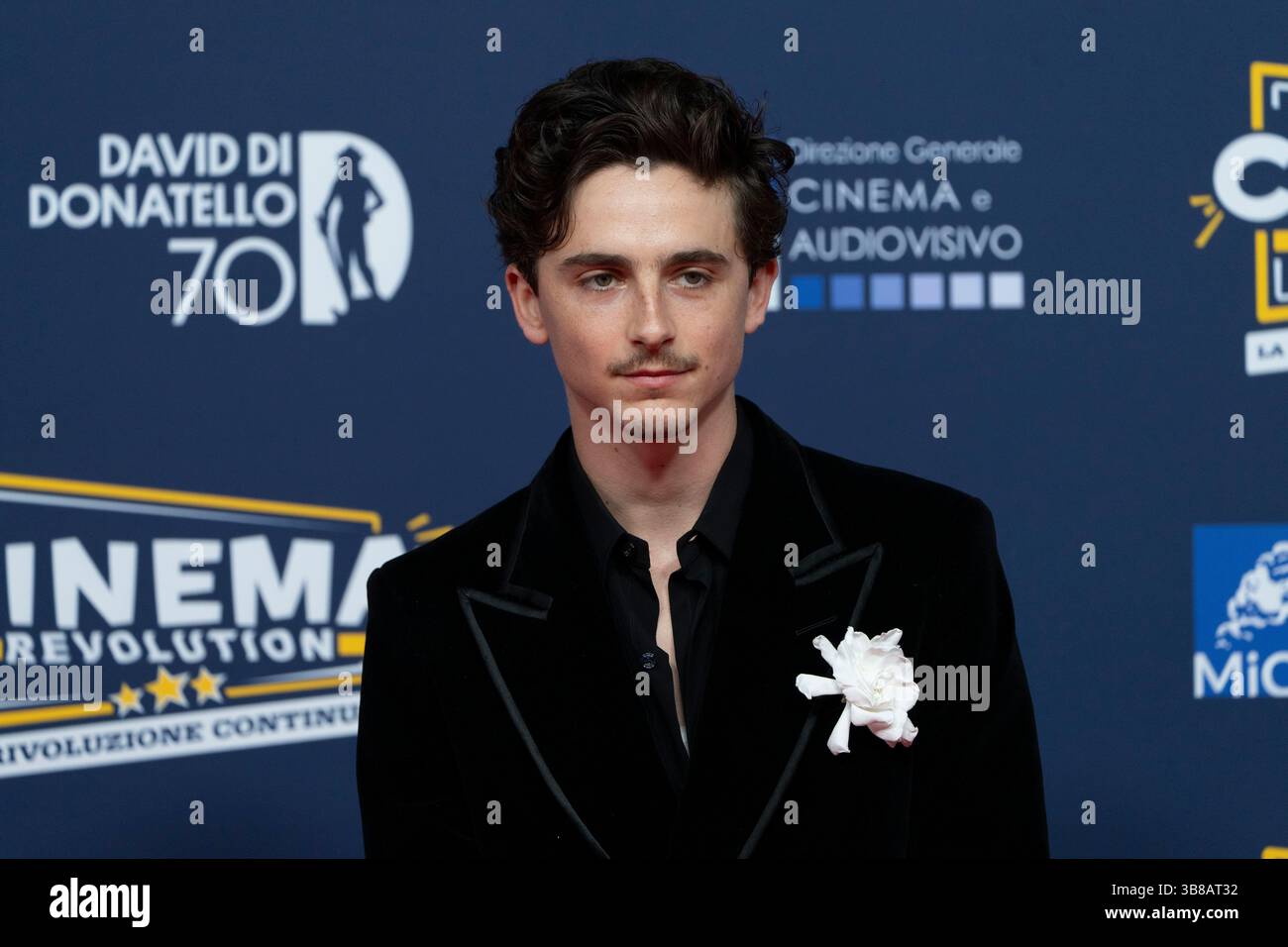 timothée chalamet david di donatello