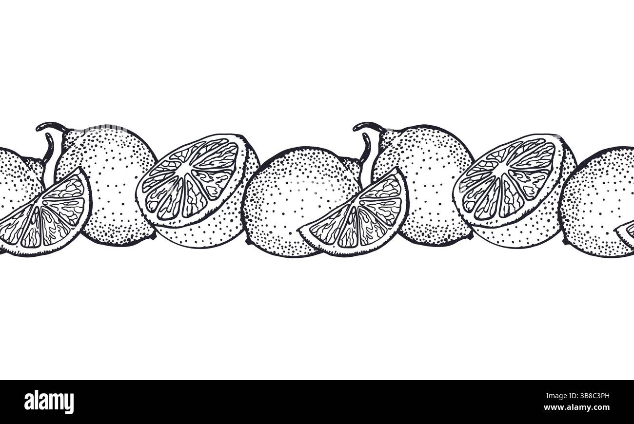 Lemons seamless horizontal border in black ink. Whole, half and slice ...