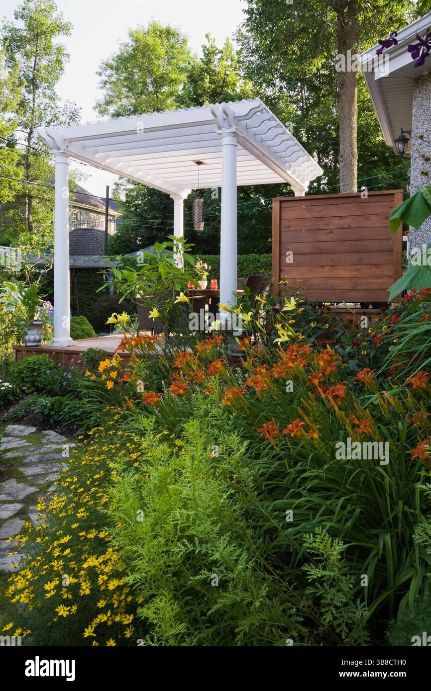 White wooden pergola, mixed border with yellow Coreopsis virticillata ...