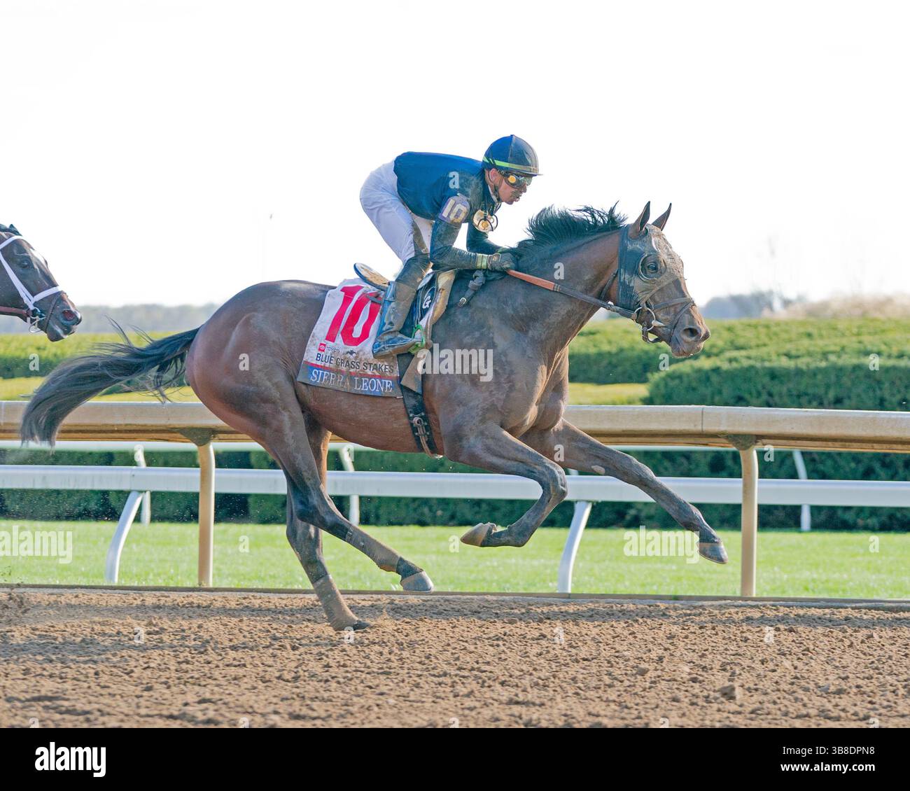 Kentucky derby prep hi-res stock photography and images - Alamy