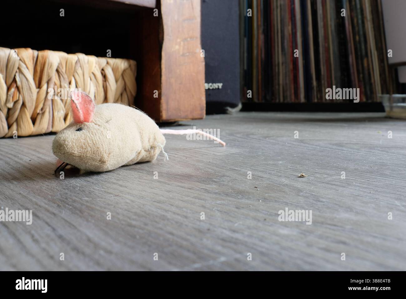 Tan colored mouse cat toy on a laminate floor with wooden furniture in background; to entertain, stimulate, satisfy natural hunting instincts in cats. Stock Photo