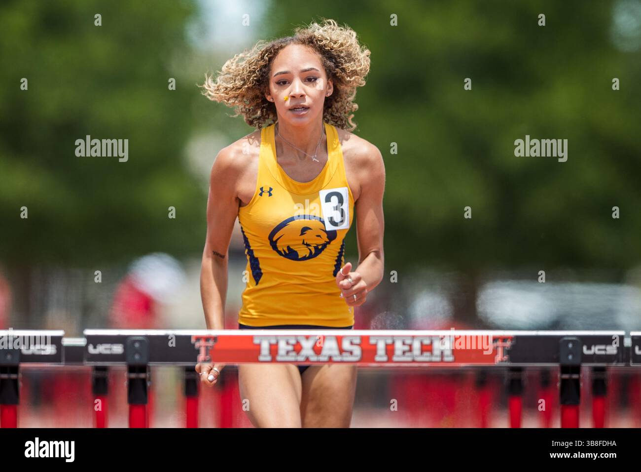 Terry Sprinter 100 m sprinter hi-res stock photography and images - Alamy