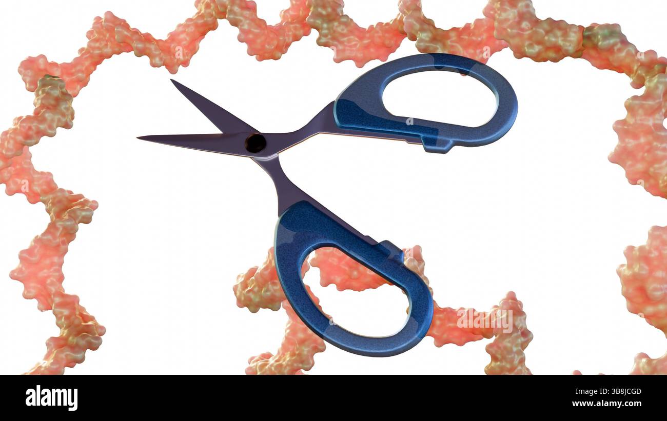 Trna processing hi-res stock photography and images - Alamy