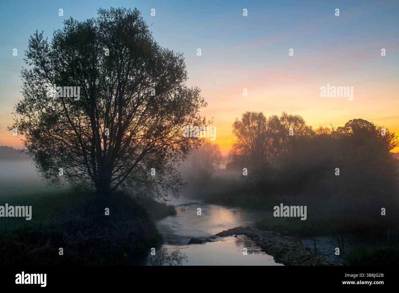 Dawn over the River Evenlode in spring. Cotswolds, Oxfordshire, England. Stock Photo