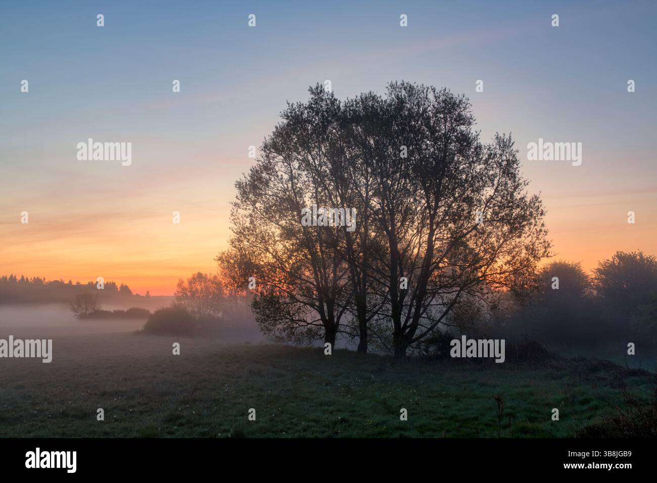 Dawn over the River Evenlode in spring. Cotswolds, Oxfordshire, England. Stock Photo