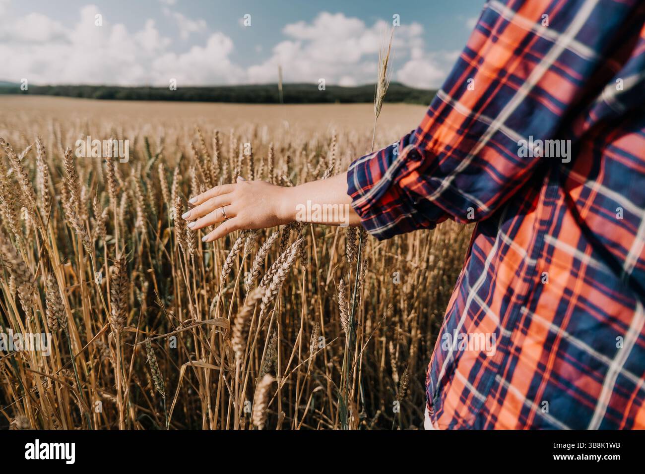 A Hand Reaching Out in a Wheat Field Stock Photo - Alamy