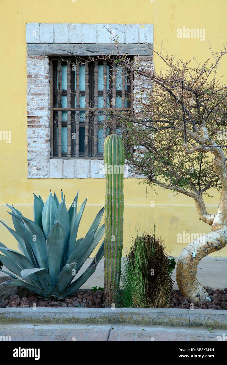 Mexico, Baja California Sur, Loreto Stock Photo