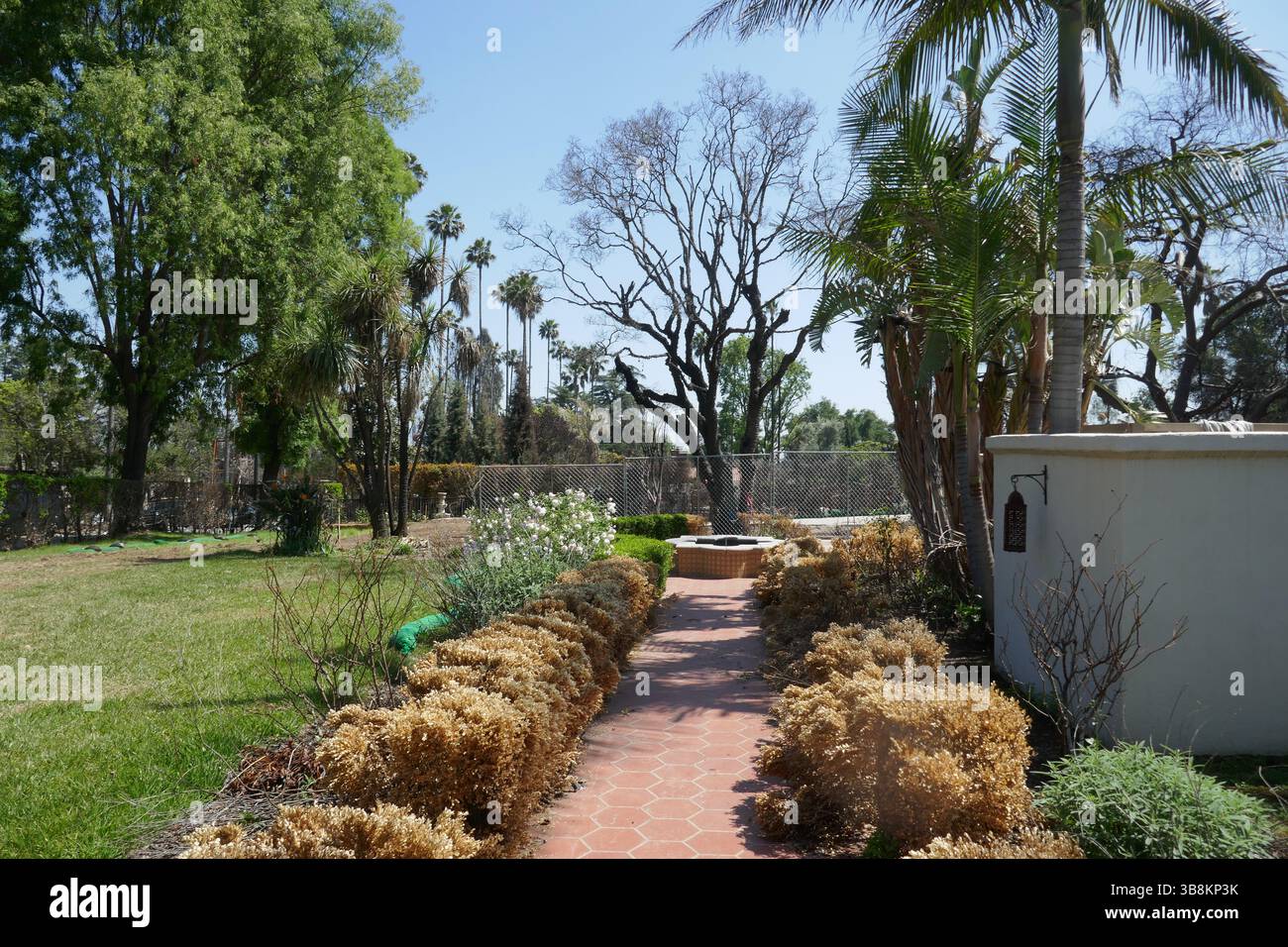 Altadena, California, USA 7th May 2025 Actor Cameron MathisonÕs ...