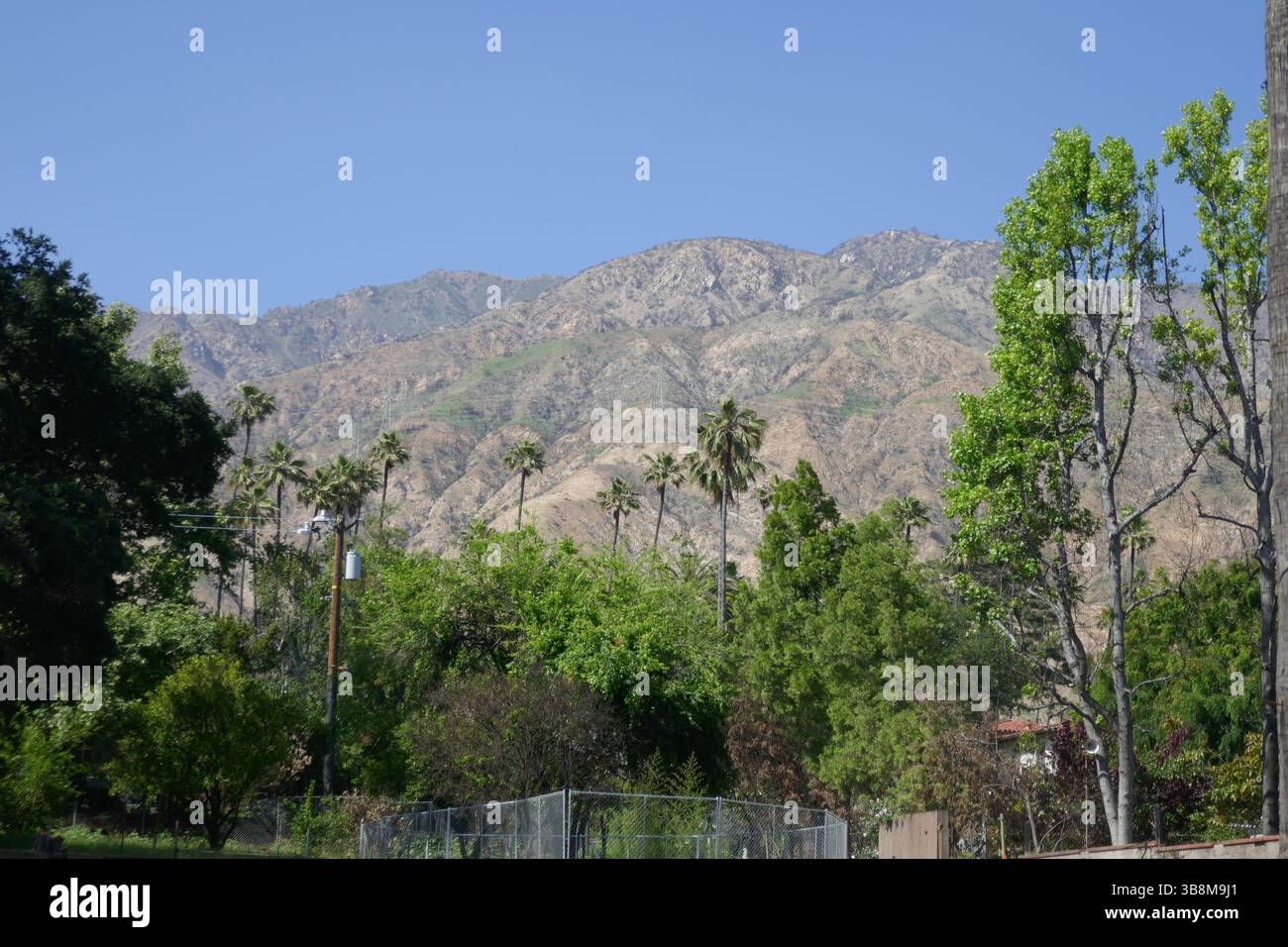 Altadena, California, USA 7th May 2025 Altadena aftermath and cleanup ...