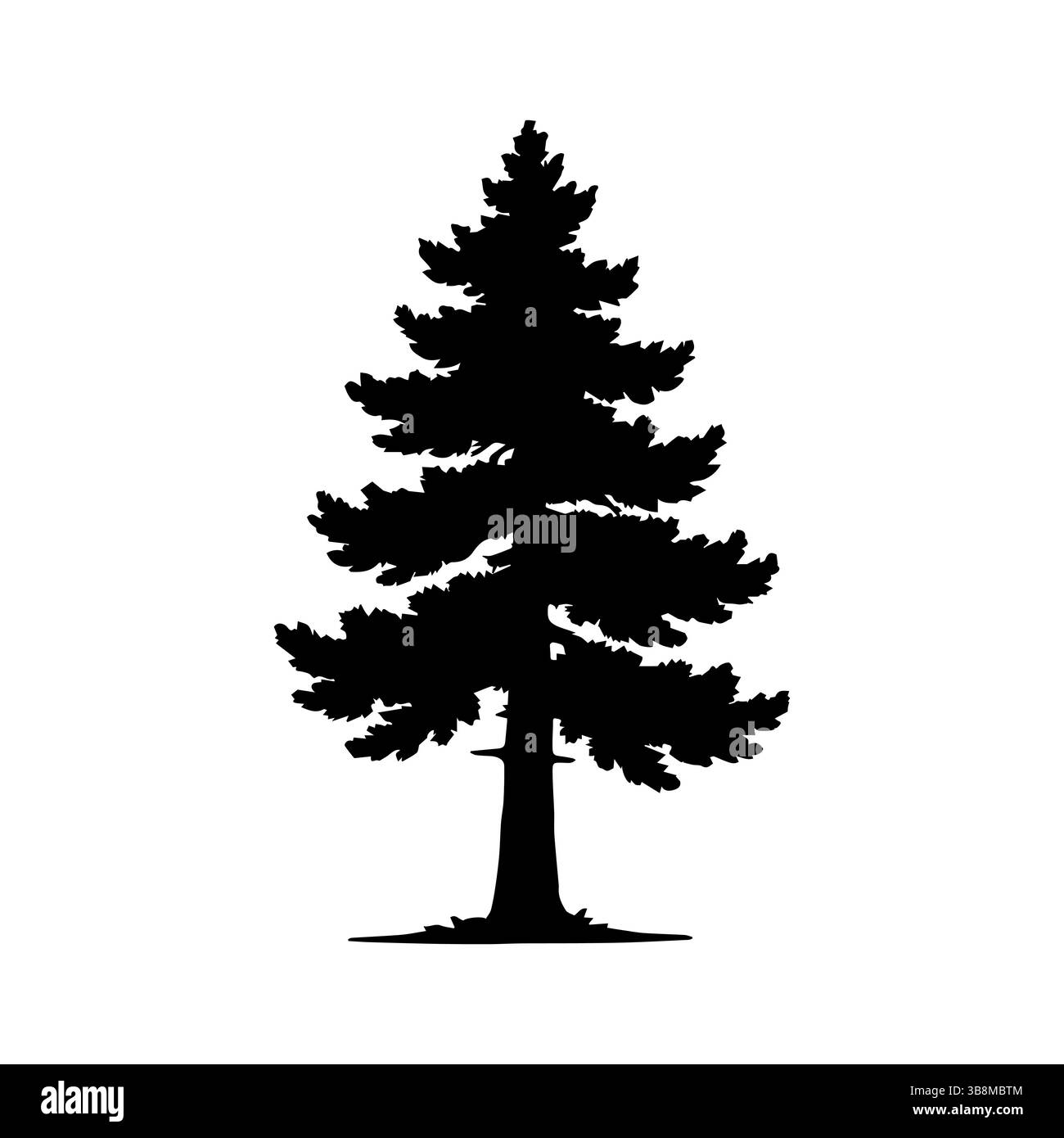 Silhouette of pine and spruce trees. Isolated on white background Stock ...