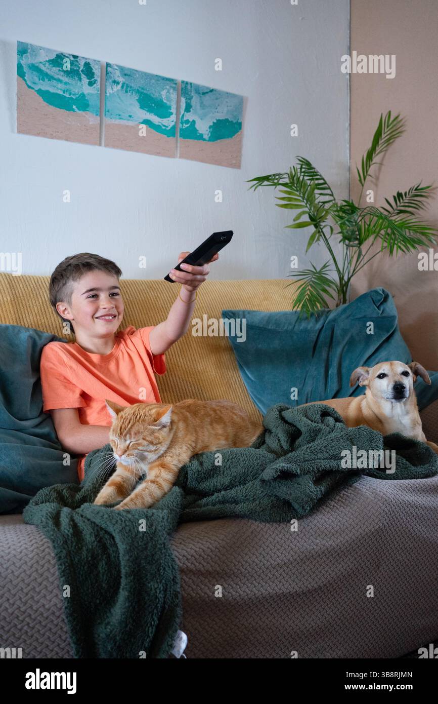 Young boy enjoys a relaxing time on the sofa, watching television with his cat and dog nestled beside him, creating a cozy scene of domestic bliss Stock Photo