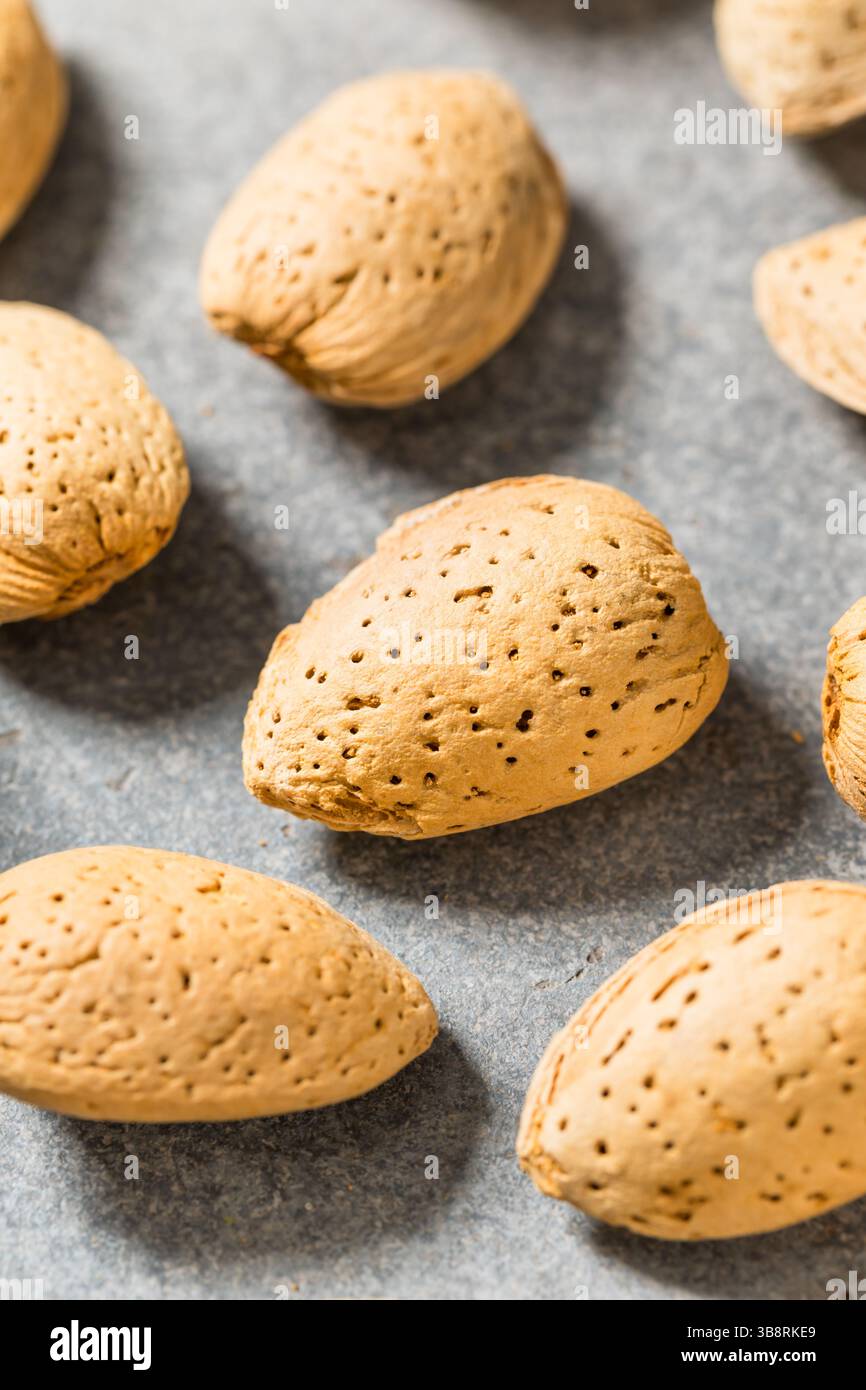 Organic Raw Almond Nuts in their Shells Stock Photo - Alamy