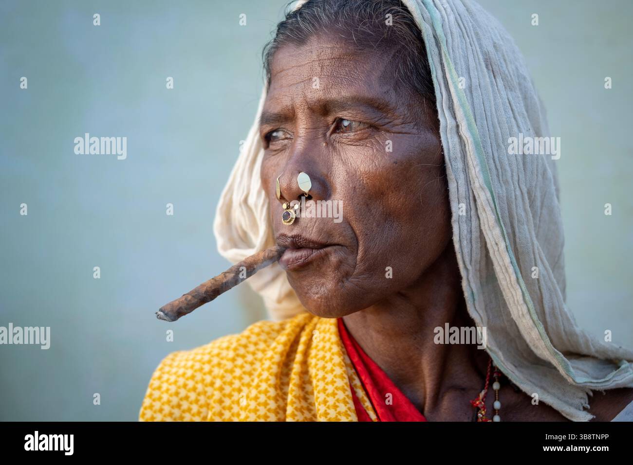 smell of cigarette smoke in nose Woman nose smoke hi-res stock photography and images