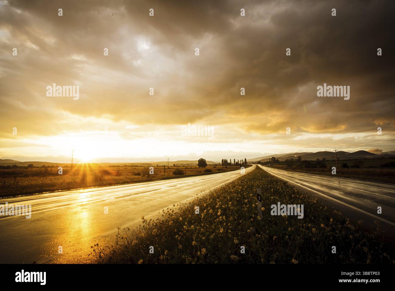Wet road after rain and sunset over fields Stock Photo