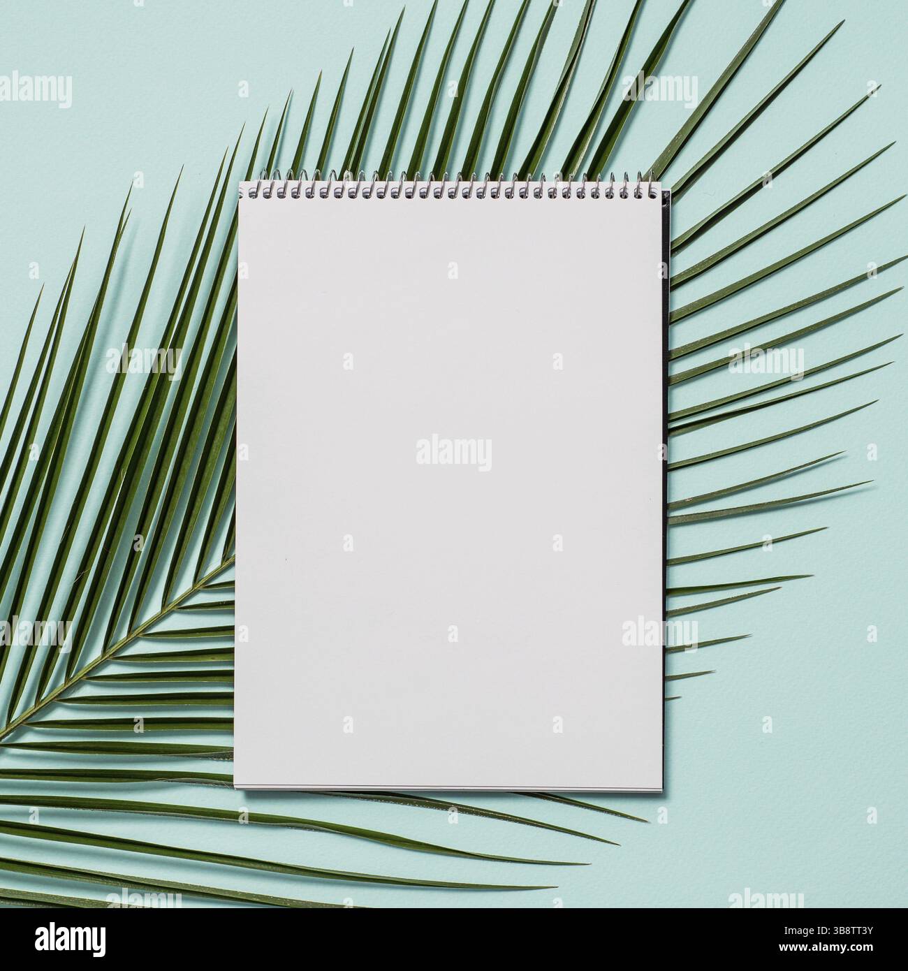 Blank paper notebook with pencil. Empty paper sketchbook with pencil and tropical leaf on blue background. Top view or flat lay. Copy space for text o Stock Photo