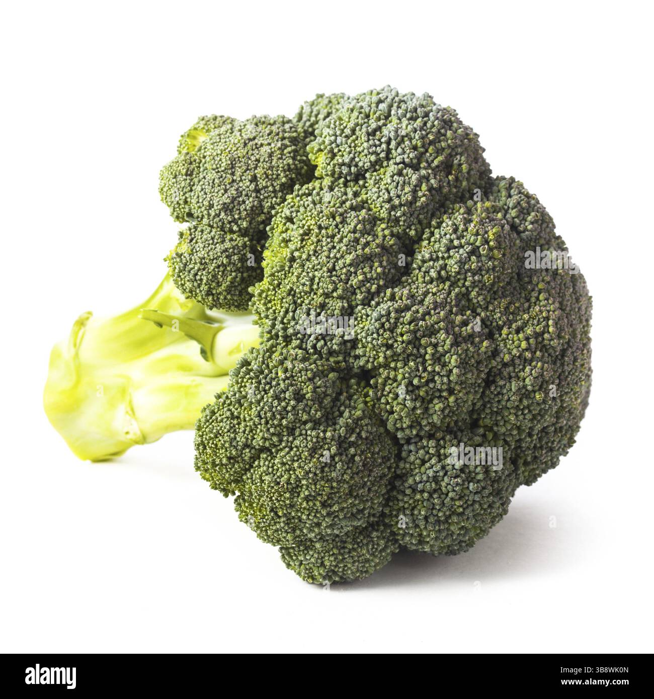 Green broccoli isolated on white background closeup Stock Photo