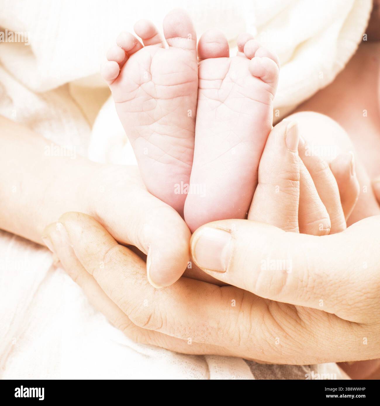 Baby foots in mother and father hands Stock Photo