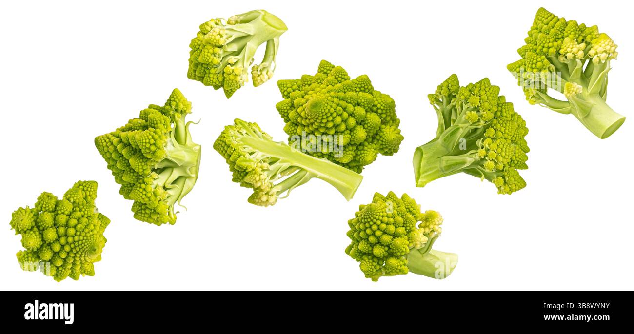 Falling romanesco cabbage slices isolated on white background with clipping path Stock Photo