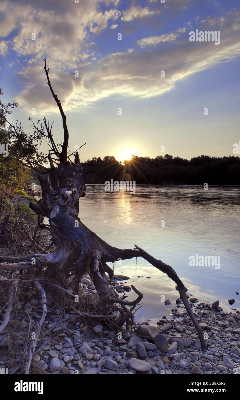 Toppling tree hi-res stock photography and images - Alamy