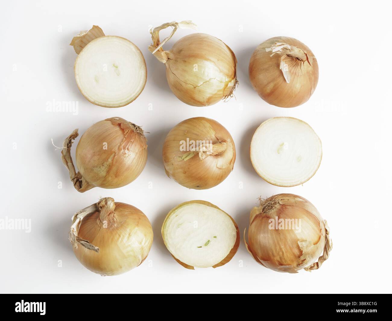 Onion seamless pattern isolated on white with clipping path. Top view or flat-lay Stock Photo