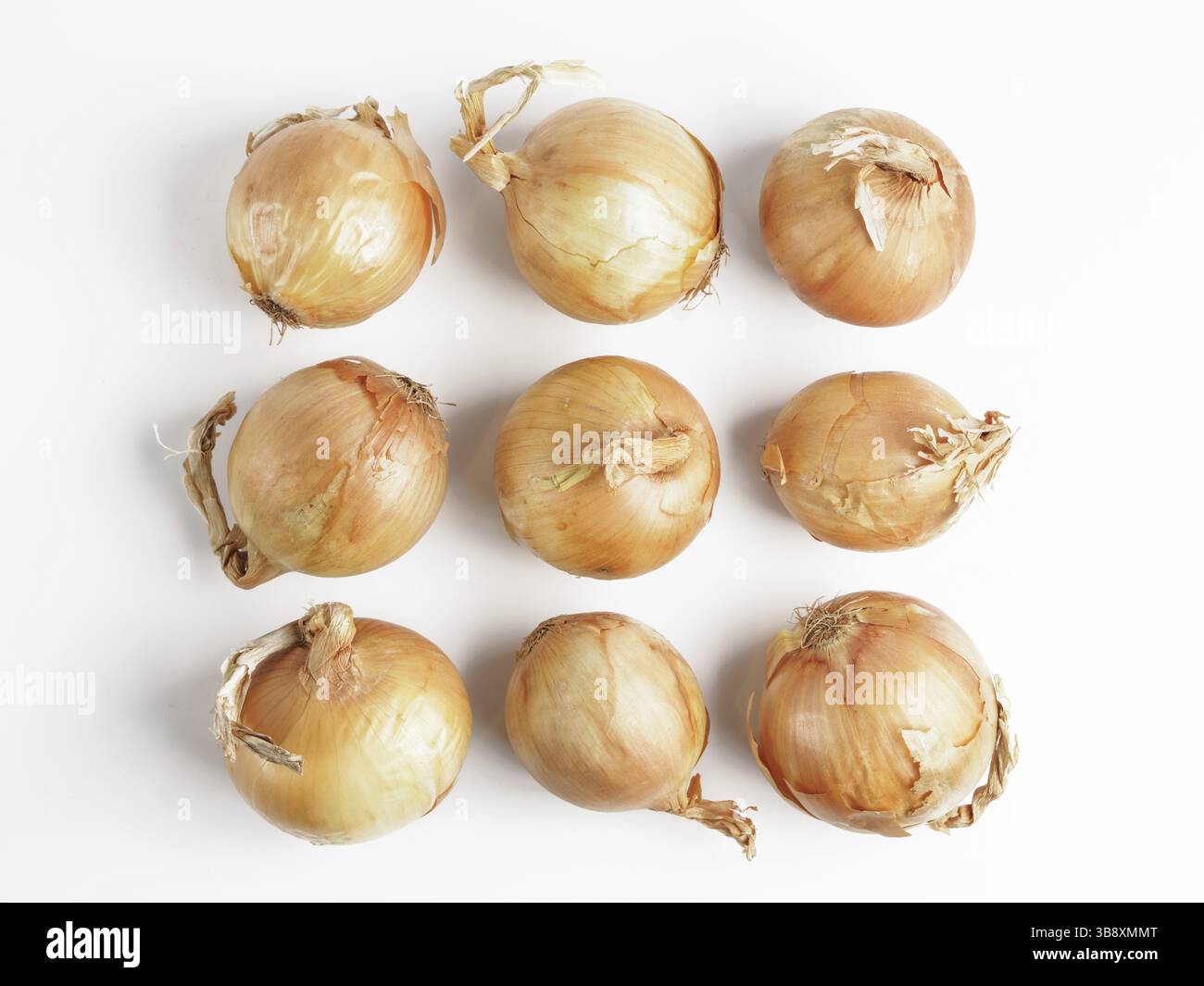 Onion seamless pattern isolated on white with clipping path. Top view or flat-lay Stock Photo